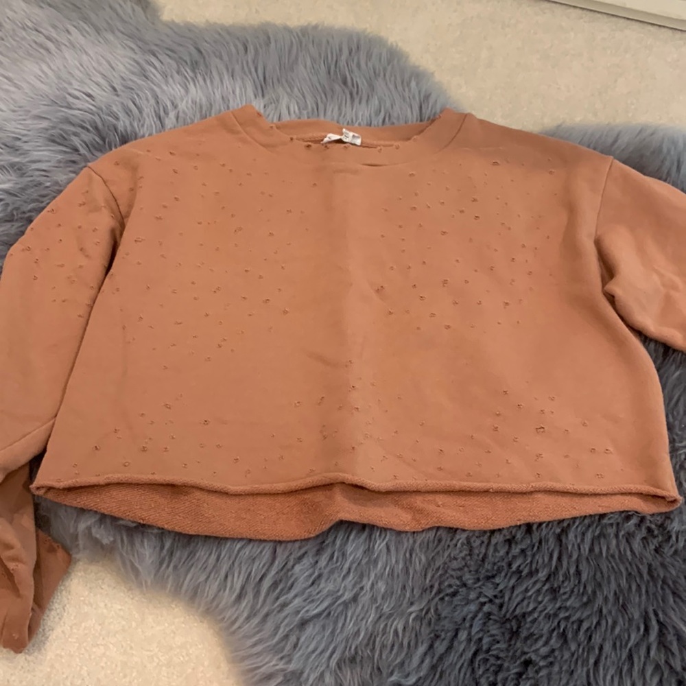 Alo Cropped Sweatshirt